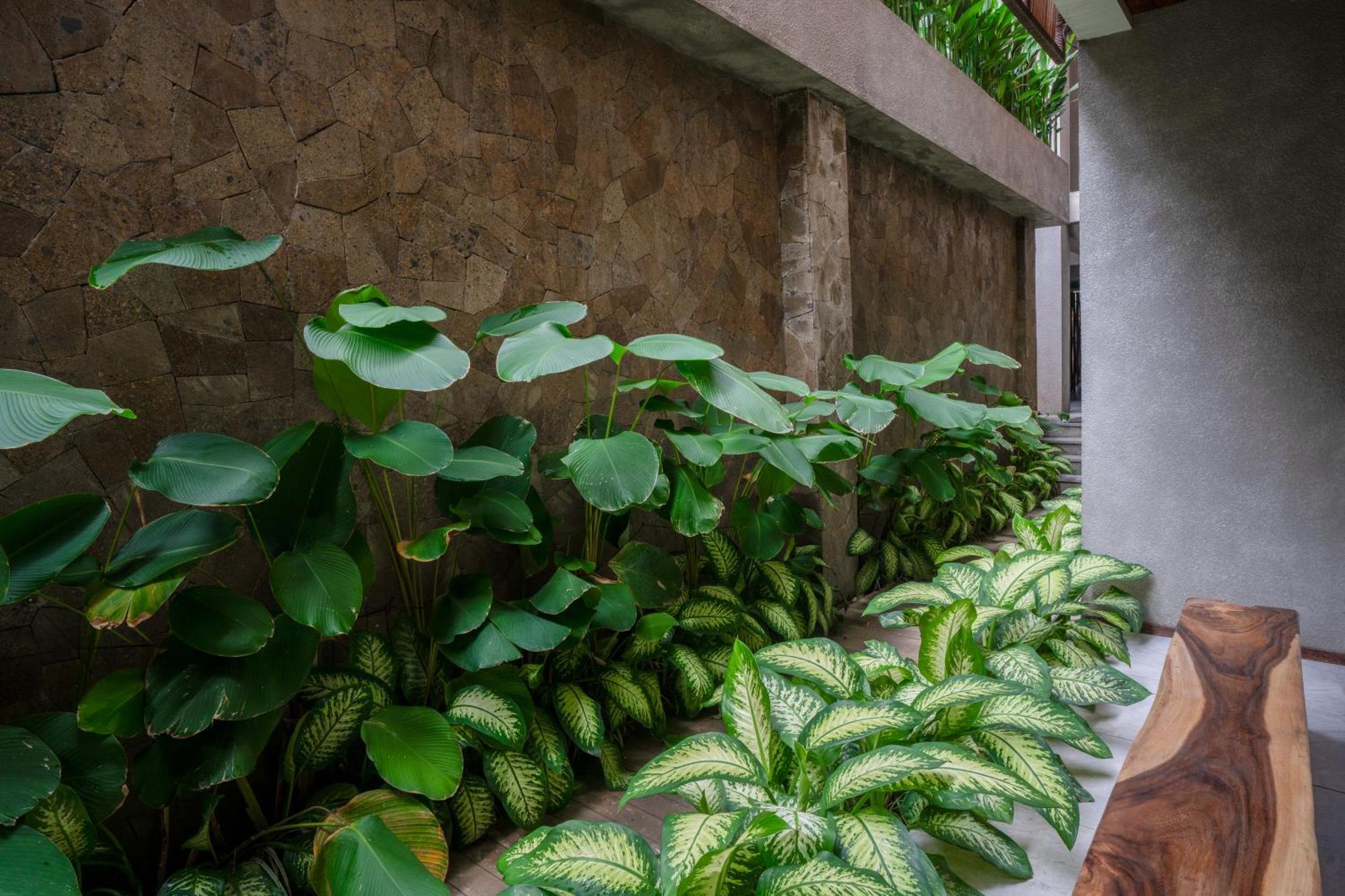 Kammora Living And Villas - Bali Invest Club Canggu Extérieur photo